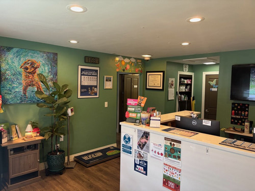Welcome desk at Mountain Animal Hospital Center in Eagle, CO