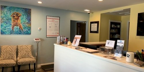 Welcome desk at Mountain Animal Hospital Center in Eagle, CO