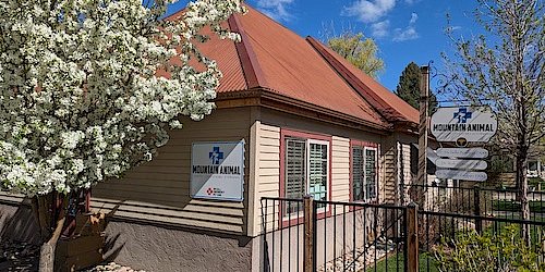 Mountain Animal Hospital Center in Eagle, CO