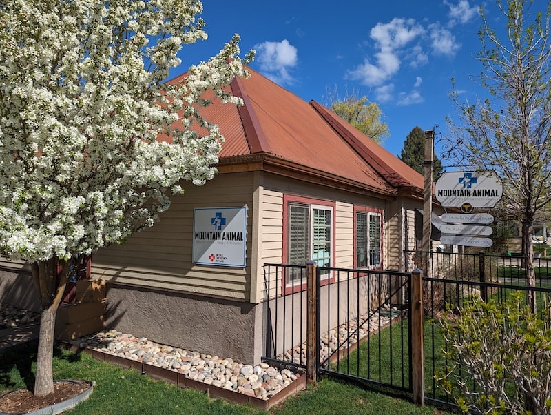 Mountain Animal Hospital Center in Eagle, CO